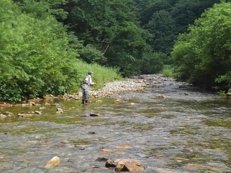 真夏のイワナ釣り